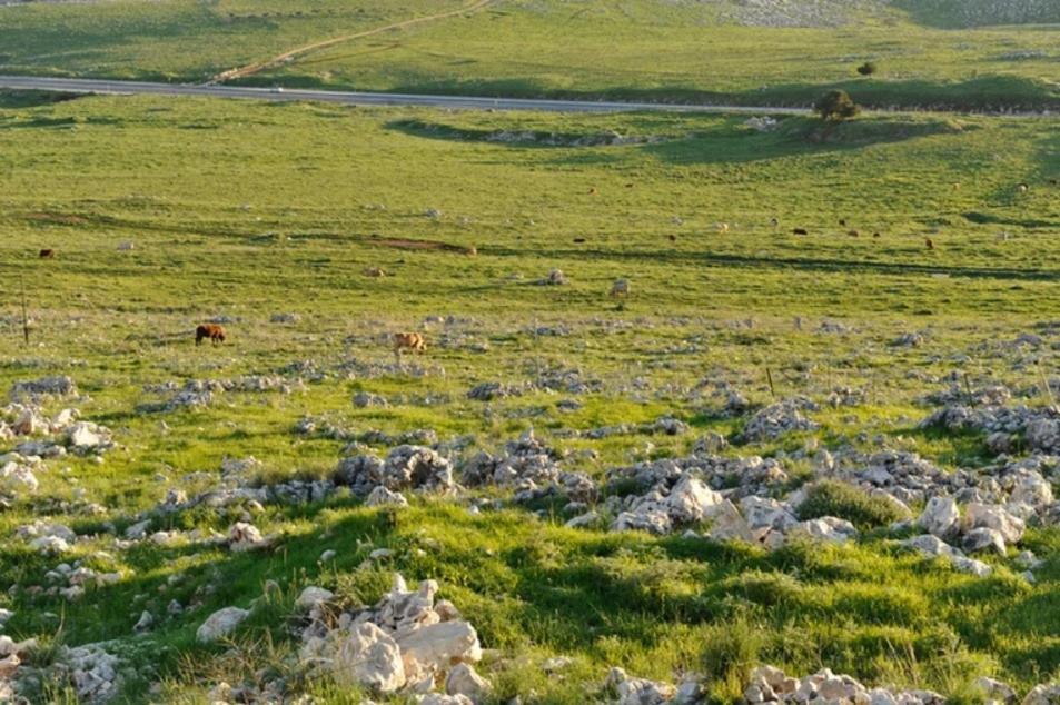 קאמי מלון בוטיק Safed Exterior foto